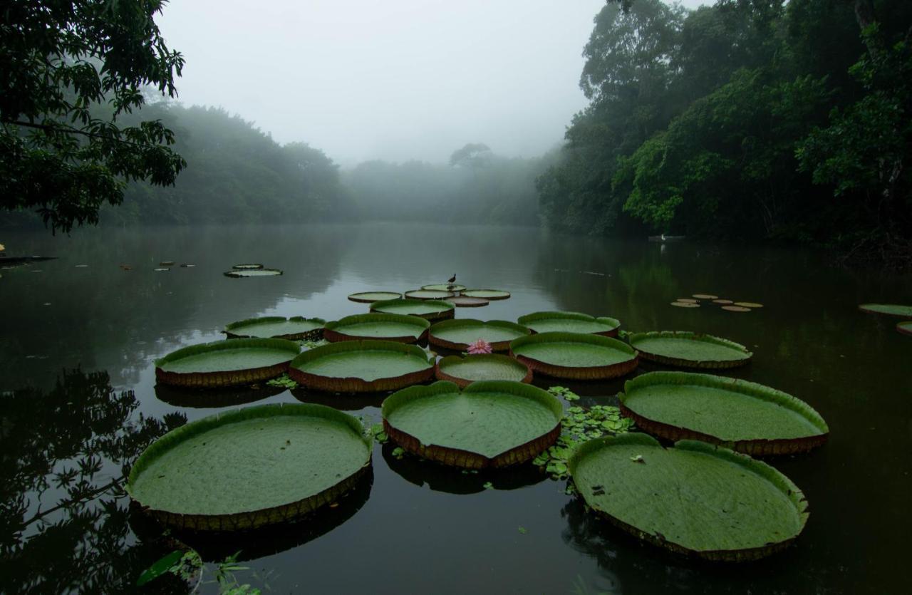 Los Chocuacos. Guacimo  Exterior photo